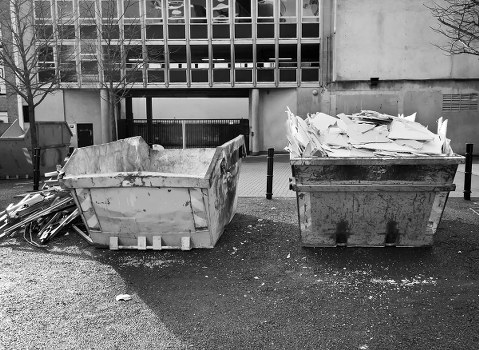 Environmental litter removal in Richmond park and green space